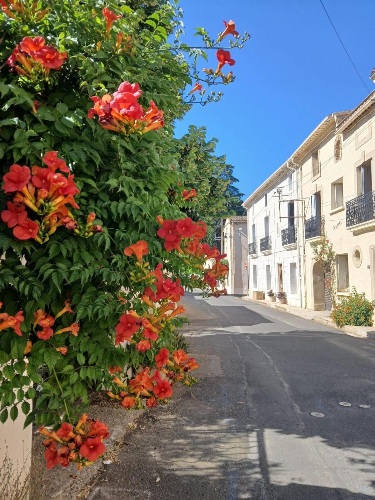 L'Oostaloo Logement De Vacances Usclas-l'Herault Zewnętrze zdjęcie